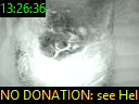 13:26:36
