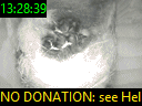13:28:39
