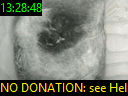 13:28:48