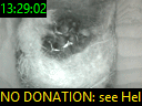 13:29:02