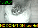 13:29:34