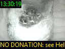 13:30:19