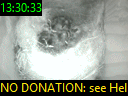 13:30:33