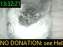 13:32:21