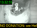 13:32:55