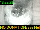 13:33:28