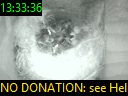 13:33:36
