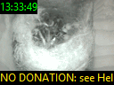 13:33:49