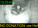 13:35:43