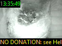 13:35:49