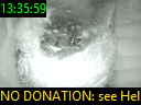 13:35:59