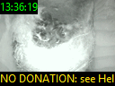 13:36:19