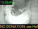 13:36:45