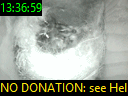 13:36:59