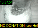 13:37:54