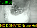 13:38:38