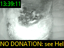 13:39:11
