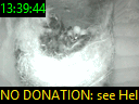 13:39:44