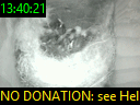 13:40:21
