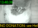 13:40:39