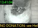 13:41:04