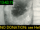13:42:15