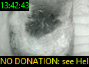 13:42:43