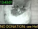 13:43:01