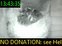 13:43:35