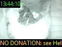 13:44:10