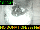 13:44:27