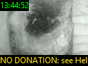 13:44:52