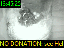 13:45:25
