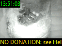 13:51:03