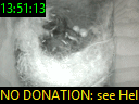13:51:13