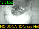 13:51:52