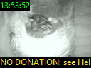 13:53:52
