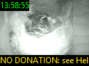13:58:55