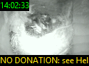 14:02:33