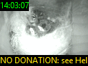 14:03:07