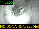 14:03:55