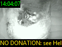 14:04:07