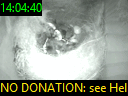 14:04:40