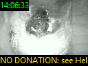14:06:33