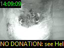 14:09:09