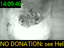 14:09:46