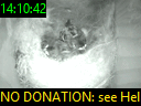 14:10:42