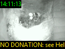 14:11:13