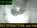 14:12:04