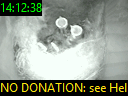 14:12:38